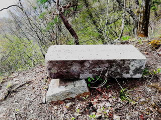 画像に含まれている可能性があるもの:植物、屋外